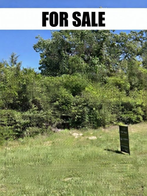 For Sale 9582 Lancaster Dr Iola TX